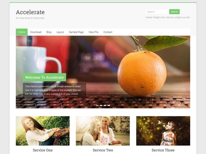 preview image for accelerate wordpress theme