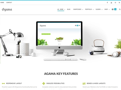 preview image for agama wordpress theme