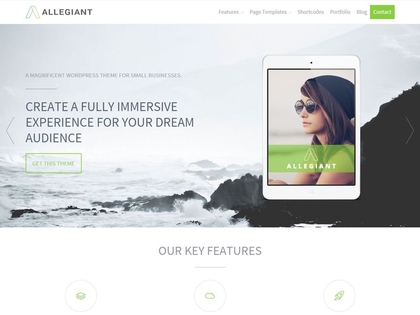 preview image for allegiant wordpress theme