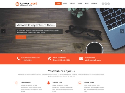 preview image for appointment wordpress theme