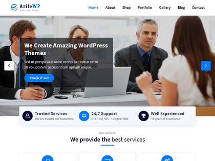 preview image for arilewp wordpress theme