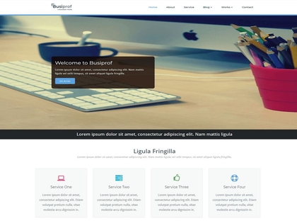 preview image for busiprof wordpress theme