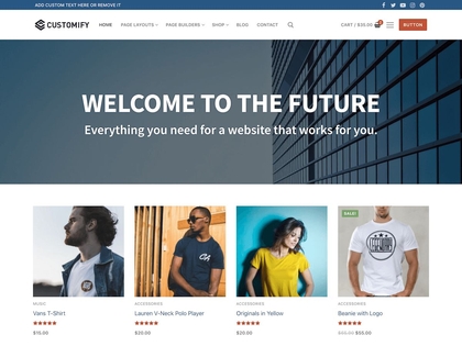 preview image for customify wordpress theme