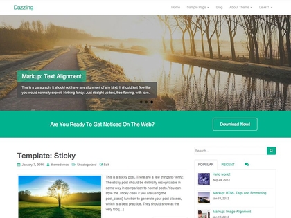 preview image for dazzling wordpress theme