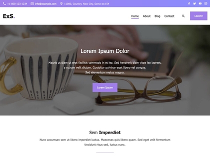 preview image for exs wordpress theme