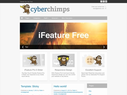 preview image for ifeature wordpress theme