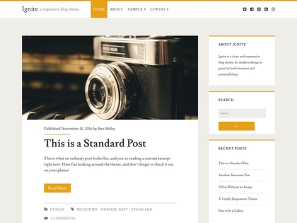 preview image for ignite wordpress theme