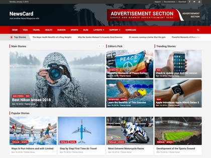 preview image for newscard wordpress theme