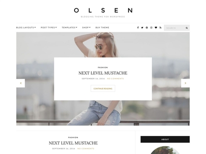 preview image for olsen-light wordpress theme