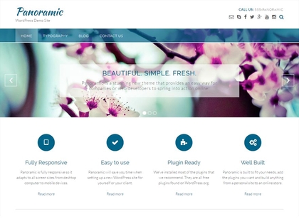 preview image for panoramic wordpress theme