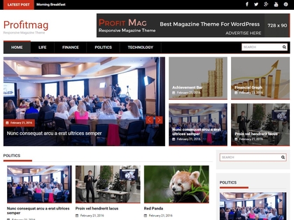 preview image for profitmag wordpress theme