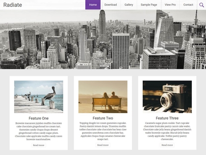 preview image for radiate wordpress theme