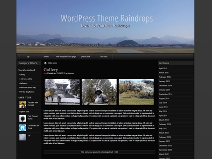 preview image for raindrops wordpress theme