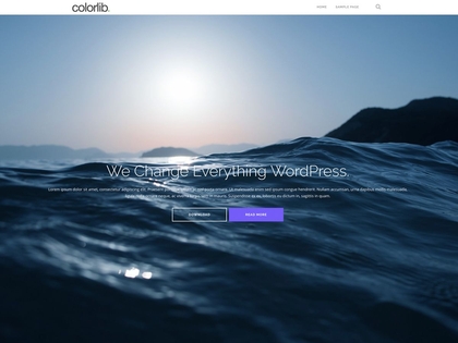 preview image for shapely wordpress theme