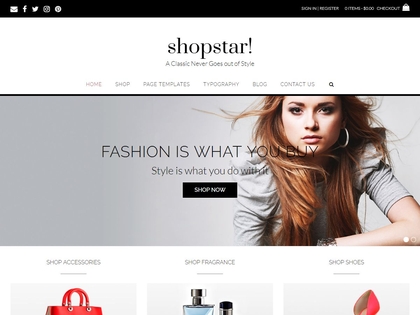 preview image for shopstar wordpress theme