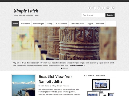 preview image for simple-catch wordpress theme