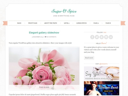 preview image for sugar-and-spice wordpress theme