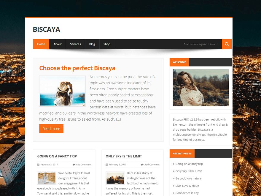 biscayalite free wordpress theme