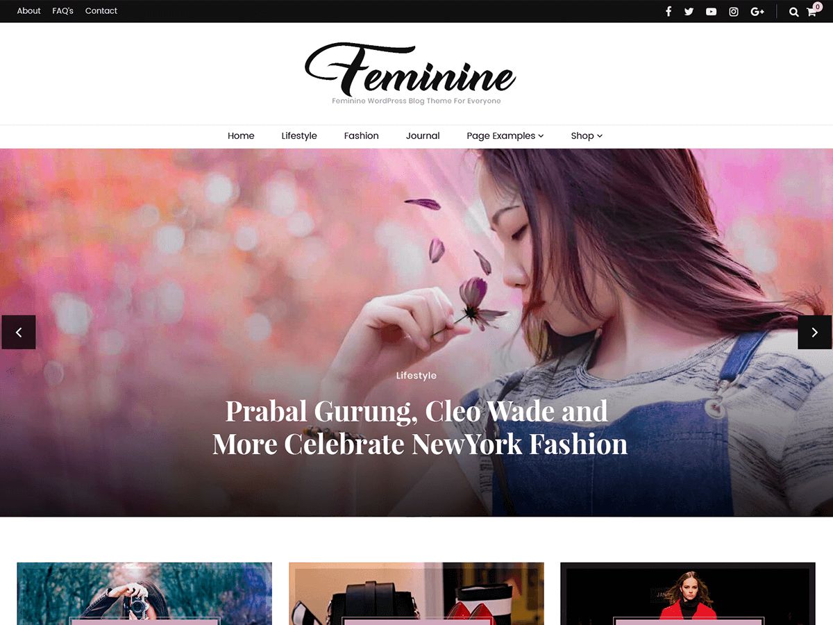 blossom-feminine free wordpress theme