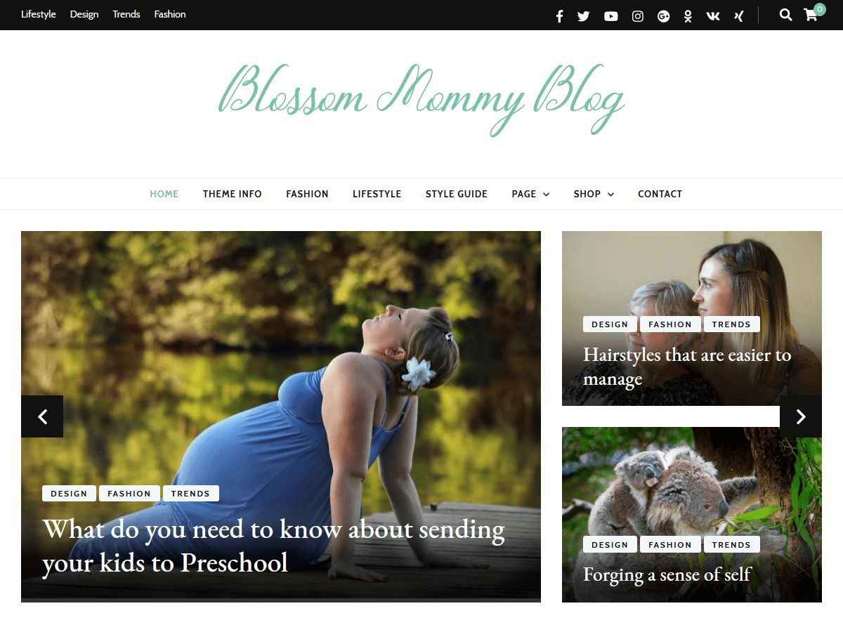 blossom-mommy-blog free wordpress theme