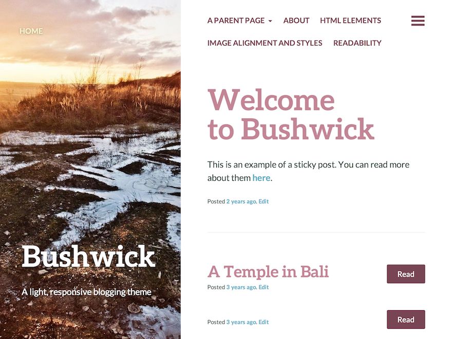 bushwick free wordpress theme