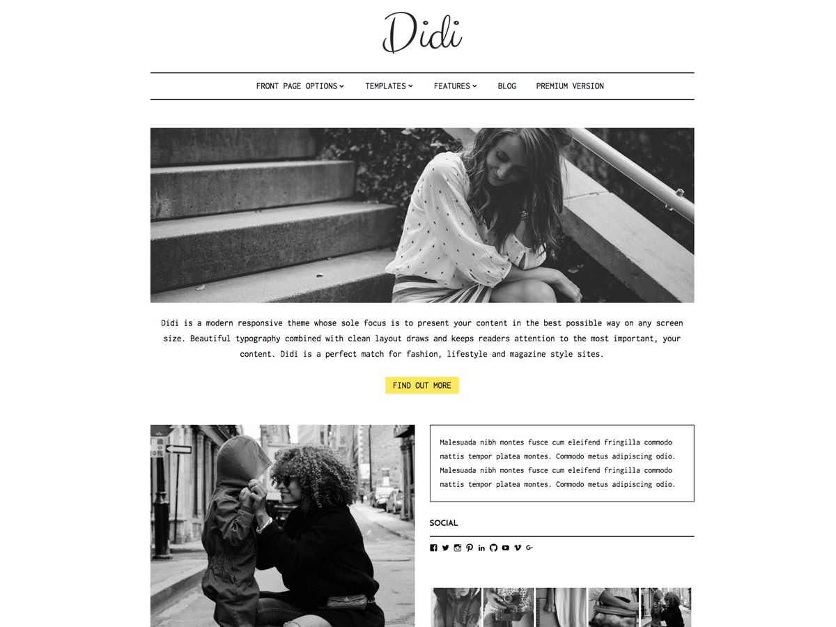 didi-lite free wordpress theme