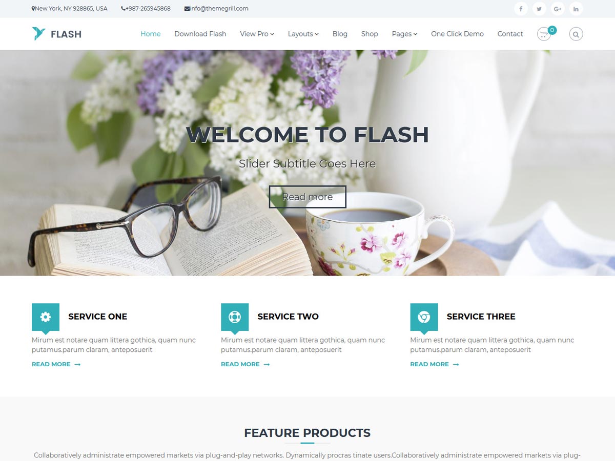 flash free wordpress theme