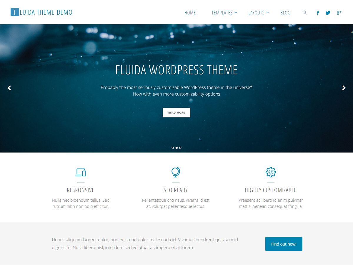 fluida free wordpress theme