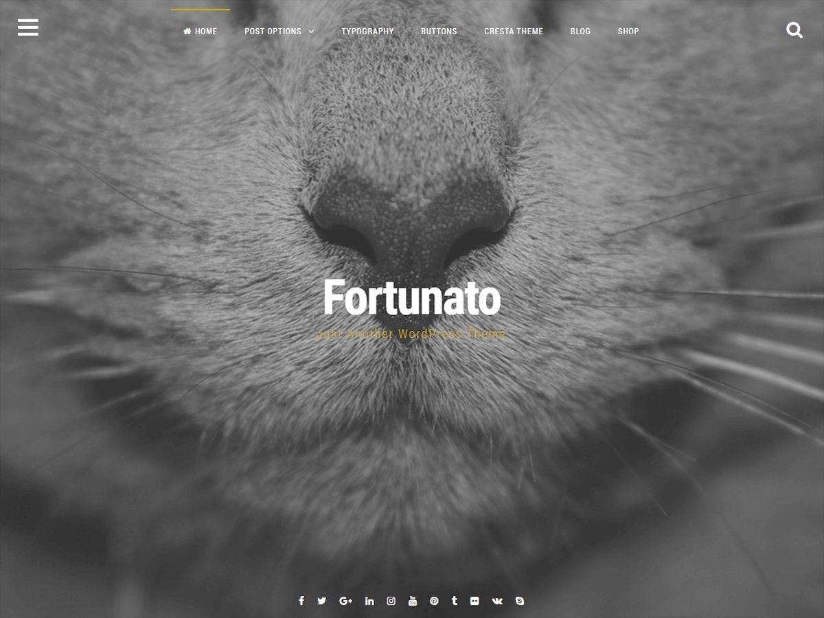 fortunato free wordpress theme