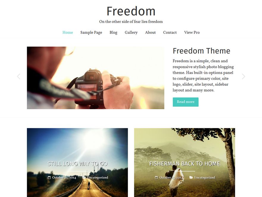 freedom free wordpress theme