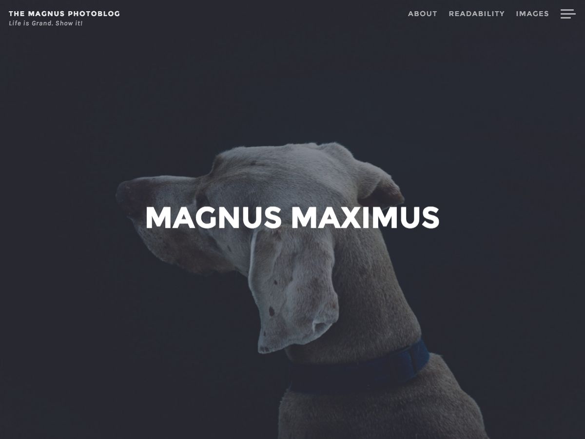 magnus free wordpress theme