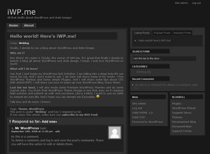 maze free wordpress theme