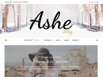 preview image for ashe wordpress theme