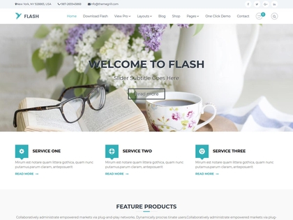 preview image for flash wordpress theme