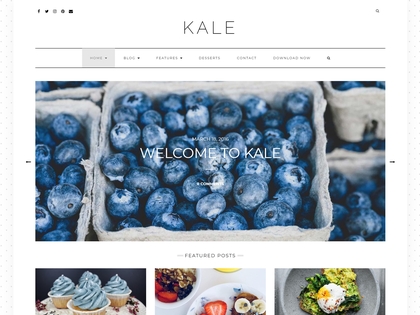 preview image for kale wordpress theme
