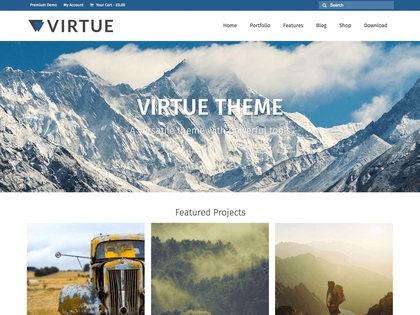 preview image for virtue wordpress theme