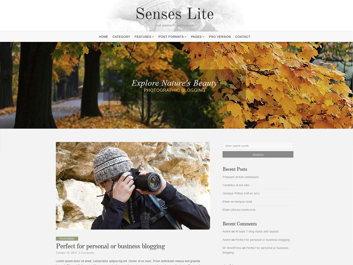 senses-lite free wordpress theme