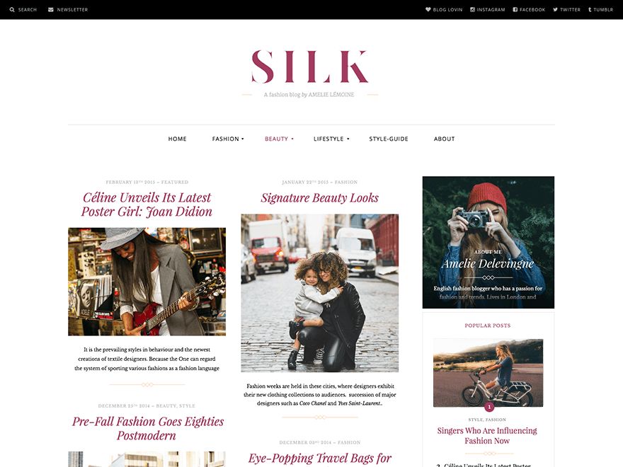 silk-lite free wordpress theme