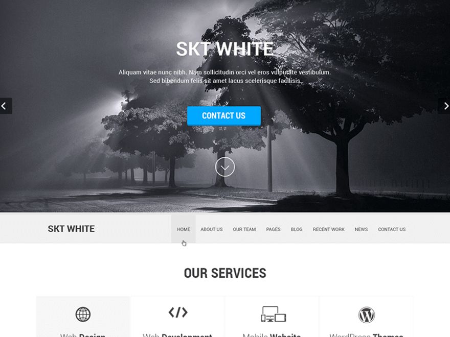 skt-white free wordpress theme